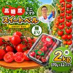 高糖度 ミニトマト スイートベル 房どり 170g
