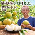 彩玉 5kg