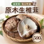 生 しいたけ 500g