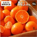 蔵出しみかん 中生 10kg