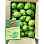 マル玉農園 ハウスレモン 加工用 10kg