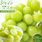 訳あり シャインマスカット 粒パック 1kg