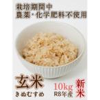 特別栽培 玄米 10kg