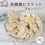 ドッグフード わんのはな 乳酸菌 ビスケット