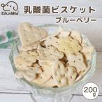 ドッグフード わんのはな 乳酸菌 ビスケット