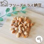 ドッグフード わんのはな 馬肉 ジャーキー