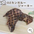 ドッグフード わんのはな 京鴨 ささみ スティック