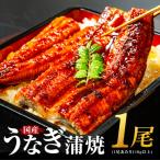 うなぎ白焼き 1尾