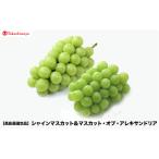 2027年収穫分 シャインマスカット&マスカット オブ アレキサンドリア食べ比べセット