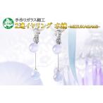 ジュエリー イヤリング 2連 アクセサリー