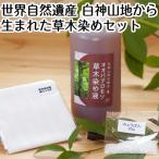 草木染めセット 白神山地 ファッション小物