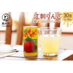 江刺りんごジュース 195ml×30缶