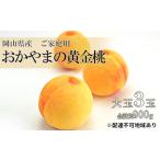 ふるさと納税 桃 2026年 先行予約 ご家庭用 おかやま の 黄金桃  大玉 3玉（合計約900g） もも モモ 岡山県産 国産 フルーツ 果物 岡山県瀬戸内市