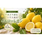 レモン ハウス栽培 イエローレモン