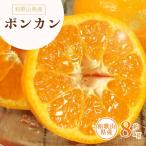 ポンカン 約8kg