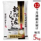 31-K5Z コシヒカリ5kg