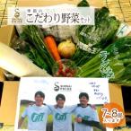 SA0587 SHONAI PRIDE 季節のこだわり野菜セット