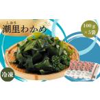 潮里わかめ 鳴門わかめ 冷凍 酢の物 味噌汁