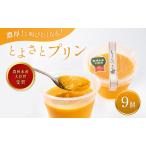 ふるさと納税 プリン 受賞多数 かぼちゃプリン セット とよさとプリン満足セット(9個入り) お菓子 菓子 おやつ スイーツ デザート 詰め合わせ.. 滋賀県豊郷町