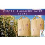 令和6年産 よしだのよいお米 近江米キヌヒカリ5kg×2