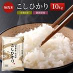 ふるさと納税 米 こしひかり BG無洗米 10kg 令和5年 ふるさと応援特別米 無洗米 お米 こめ コメ おこめ 白米 コシヒカリ 滋賀県豊郷町