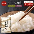 ショッピング無洗米 ふるさと納税 米 定期便 12ヶ月 こしひかり BG無洗米 5kg 令和5年 ふるさと応援特別米 無洗米 お米 こめ コメ おこめ 白米 コシヒカリ 12回 お楽.. 滋賀県豊郷町