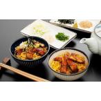 静岡祭丼 鰻まぶし丼セット うなぎ 加工品