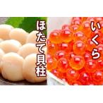 ふるさと納税 いくら醤油漬け100g×2P、ほたて貝柱500g×1P C-36041 北海道根室市