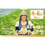ふるさと納税 【2025年発送】ふらのメロンティアラ(赤肉)8kg以上【AO-010】 北海道中富良野町