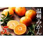 AA074.温州みかん 5kg程度
