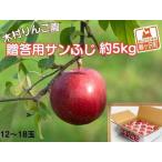りんご サンふじ 約5kg