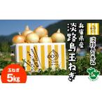 ふるさと納税 \うまい玉ねぎできたでー/ ケンちゃんファームの特別栽培玉ねぎ5kg 〜ひょうご安心ブランド認証取得〜 兵庫県南あわじ市