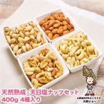 天然熟成天日塩 ナッツ4種セット 400g×4袋