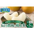 ふるさと納税 【先行予約】令和7年発送 /辰口農園の橋上梨約5kg(品種:愛宕)_1303R 大分県国東市