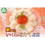 ふるさと納税 訳あり ホタテ1kg いくら醤油漬け200g×2個 セット イクラ ほたて 帆立 北海道 3587 北海道弟子屈町