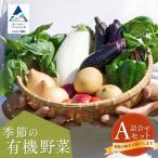 季節の有機野菜 詰合せ Aセット 有機野菜