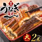 うなぎ うなぎ蒲焼き 約170g×2尾