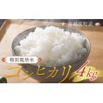 令和7年度産 特別栽培米 コシヒカリ 4kg