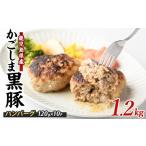 ショッピングふるさと納税 ハンバーグ ふるさと納税 特製 黒豚 ハンバーグ 120g×10個 生 ハンバーグ 岡村商店 IB024-023 ハンバーグ 鹿児島県指宿市