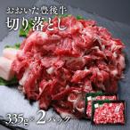 おおいた豊後牛切り落とし計670g 牛肉切り落とし