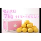 土佐文旦 7kg
