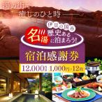 宿泊券 旅館 民宿 宿泊感謝券 1000円×12枚