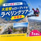 大岩壁をロープで下る ラペリングツアー体験券