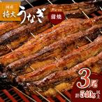 鰻蒲焼 3枚セット うなぎ ウナギ 鰻