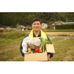 tthy2土佐れいほく野菜 年12回