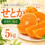 せとか 訳あり 5kg