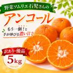 アンコール 訳あり 5kg