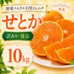 せとか 訳あり 10kg