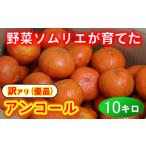 ふるさと納税 【訳あり・優品】野菜ソムリエ石児さんの「アンコール 10kg」 ミカン みかん 蜜柑 柑橘 10kg 訳あり 甘い 柑橘類 アンコール アン.. 大分県杵築市