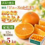 今村農園のおひさまきらりん 約5kg